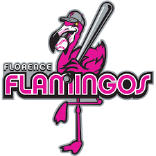 Image result for Flamingo Cricket Club