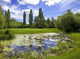 Image result for Peterborough Milton Golf Club Ltd