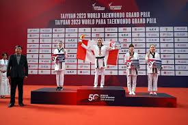 Image result for Park Place Olympic Tkd