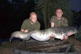 Image result for Woking & District Angling Association