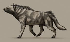 Attēlu rezultāti vaicājumam “Carnivora”