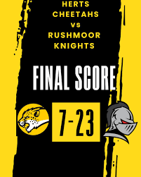 Image result for Chiltern Cheetahs American Football Club