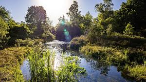 Image result for Heemtuin Rucphen