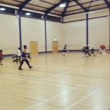 Image result for Ballymena Vandals