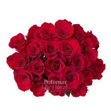 Image result for Red Rose Cc