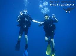 Image result for Manta Divers Sub-Aqua Club
