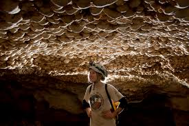 Image result for Technical Speleological Group