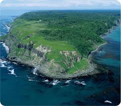 Image result for Bushiki Kwai