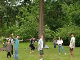 Image result for widnes judo