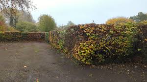 Image result for West Derby Bowling Club Ltd