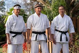 Image result for Cobra Karate Club