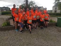 Image result for Wee County Harriers