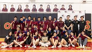 Image result for Highwoods Badminton Club