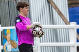 Image result for Wrentham Football Club