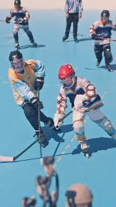 Image result for Vipers Roller Hockey Team