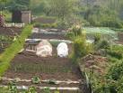 Allotments at the Guys Hylton - via Daymix