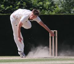 Image result for Cranleigh Cricket Club