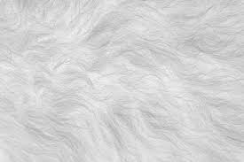 Image result for white rabbit skin texture