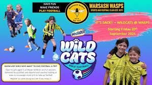 Image result for Warsash Wasps Sports & Football Club