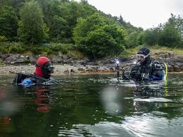 Image result for Southdown Divers