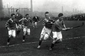 Image result for World of Shinty