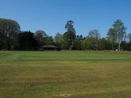 Image result for Overbury Cricket Club