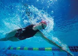 Image result for Trowbridge Swimming Club