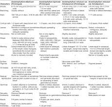 Attēlu rezultāti vaicājumam “Anastrophyllum minutum”