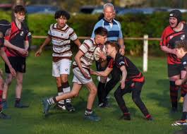 Image result for Southend Rugby Football Club Ltd