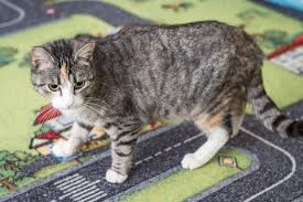 Image result for site:buyreklama.ru/*