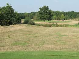 Image result for Sutton Green Golf Club
