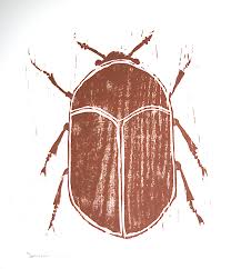 Attēlu rezultāti vaicājumam “Dermestes murinus”