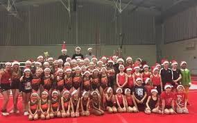 Image result for Stevenage Sports Acro Club