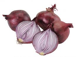 Image result for Zwiebeln