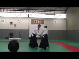 Image result for Newcastle Aikido Club