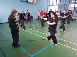 Image result for Shaolin Nam Pai Chuan Kung Fu - Manchester Martial Arts Centre
