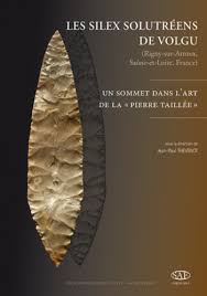 Image result for feuille-laurier-silex