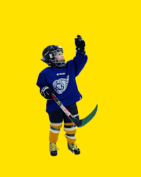 Image result for West Witney Hockey Club