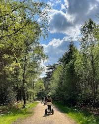 Image result for Go Ape! Moors Valley