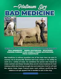 Image result for Southdown Club