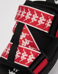 Image result for Kinsale Kappas