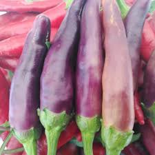 Afbeeldingsresultaat voor red fratali hot pepper