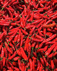 Afbeeldingsresultaat voor thai bird pepper hot pepper