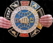 Image result for Wirral UKTA Taekwon-do