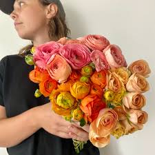 Attēlu rezultāti vaicājumam “Ranunculus mendax flower”