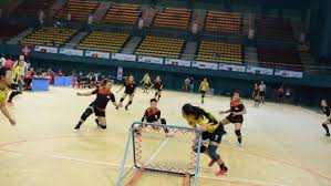 Image result for Liphook Tchoukball Club