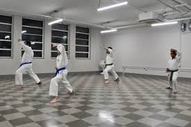 Image result for Bushin Kenpo Kai Schools