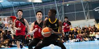 Image result for York University Gymnastics Club