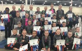 Image result for Maple Gymnastics Club