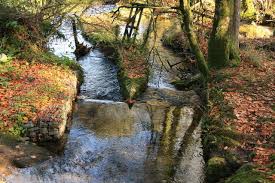 Image result for Harbourne Cc